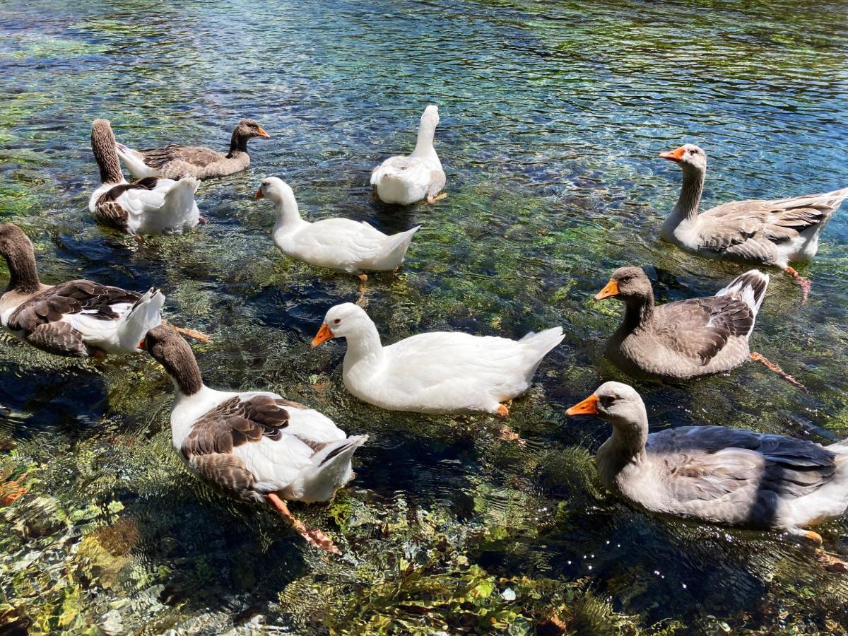 Portofino Boutique Hotel Akyaka  Zewnętrze zdjęcie